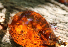 amber-stone