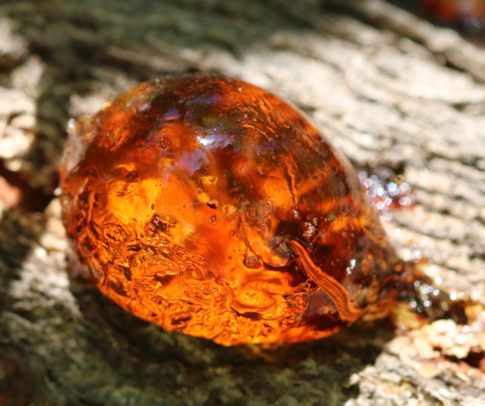 amber-stone