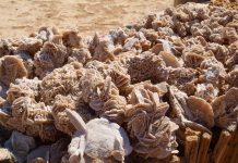desert-rose-rocks