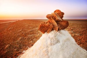 desert-rose-rocks