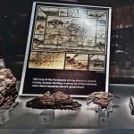 tombstone silver specimen from the Lucky Cuss mine on display