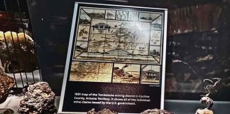 tombstone silver specimen from the Lucky Cuss mine on display