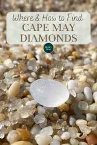 cape-may-diamonds