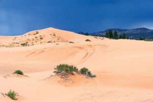 pink-sand-beaches