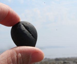 6 Large Flat Black Seaham Seaglass Pirate Glass Pieces Secret Seaglass  Pieces. Seaglass Seaham Seaglass Pieces. Black Seaglass 