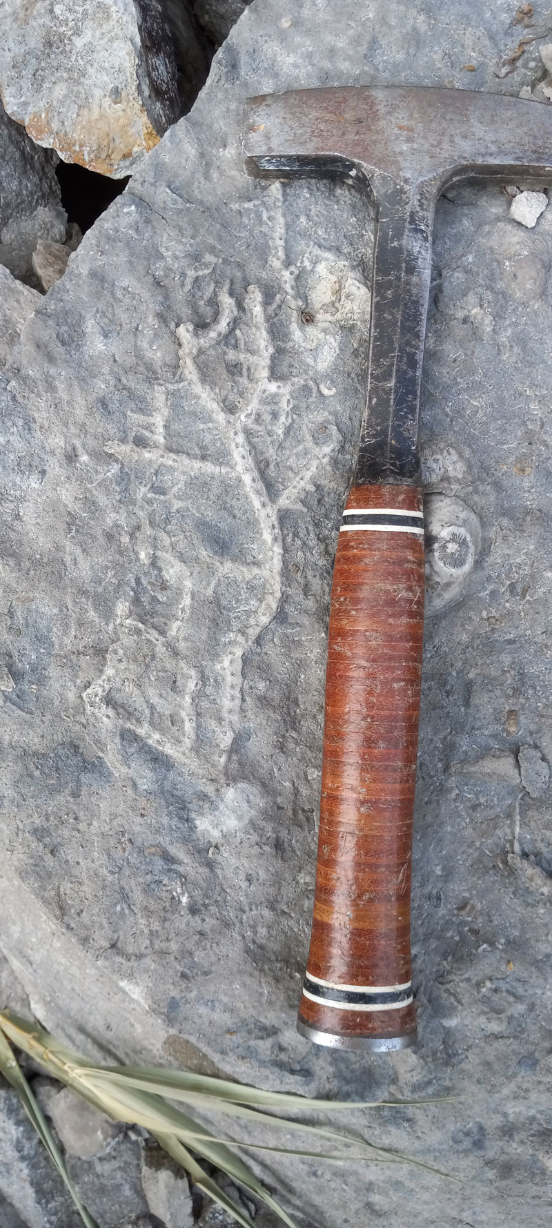 Gifts For Rock Collectors Holiday Favorites Rock Gem Magazine gifts-for-rock-collectors-holiday-favorites-rock-gem-magazine