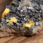 What are Radioactive Minerals? what-are-radioactive-minerals