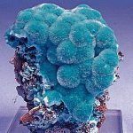 collecting-in-arizona