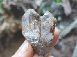 heart shaped herkimer diamond just dug from a vug
