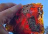juniper-fire-opal