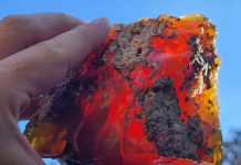 juniper-fire-opal