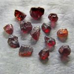 ant-hill-garnets