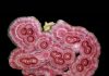 rhodochrosite slice