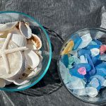 garden-stepping-stones