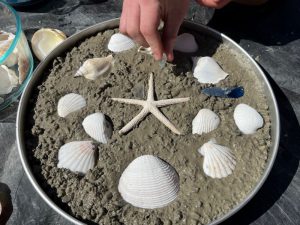 garden-stepping-stones 