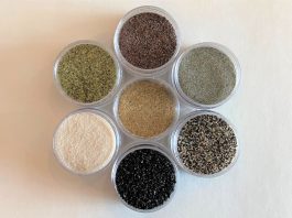 What Is a Psammophile? A Guide to Collecting Sand Psammophile