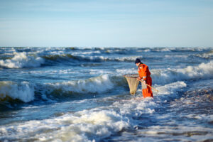 Man with landing net looking for amber minerals in beach sand on a Baltic sea