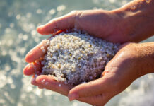 Rock Science: Minerals in Beach Sand minerals in beach sand include quartz in sand being held in hands on the beach