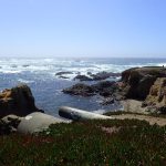 overlooking glass beach at Fort Bragg