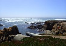 Glass Beach: Fort Bragg Guide overlooking glass beach at Fort Bragg