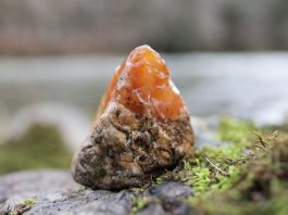carnelian agate found rock collecting from a kayak