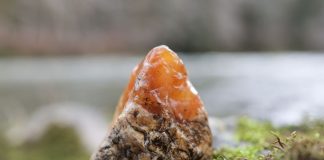 carnelian agate found rock collecting from a kayak