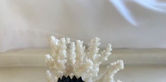 otoliths jewelry