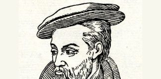 georgius agricola the author of de re metallica
