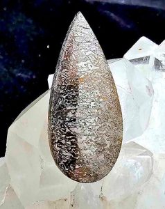 tear shaped cabochon made of pyritized dinosaur bone fossil