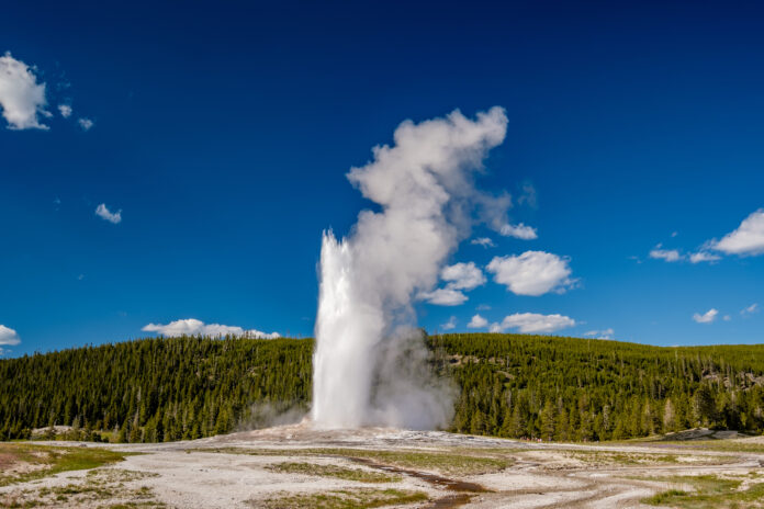 Old Faithful geyser in Yellowstone National Park Eruption of Old Faithful geyser in Yellowstone National Park, Wyoming, USA