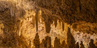 Limestone stalactites and stalagmites fill the caves of Carlsbad Caverns National Park, New Mexico.