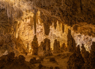 Caves of the America’s National Parks Limestone stalactites and stalagmites fill the caves of Carlsbad Caverns National Park, New Mexico.