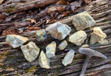 amazonite pieces laid on a piece of wood