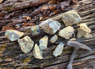 amazonite pieces laid on a piece of wood