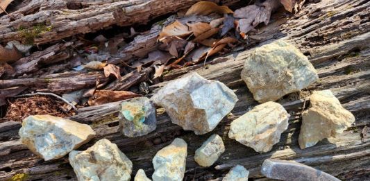 Finding Amazonite at Mineral Hill amazonite pieces laid on a piece of wood