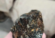 astrophyllite