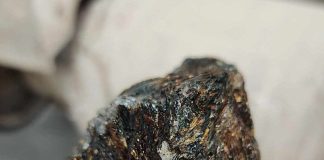 astrophyllite