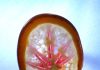 crystals in agate finished cabochon