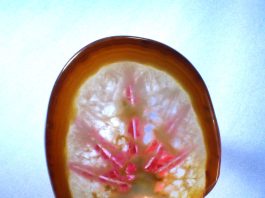 crystals in agate finished cabochon