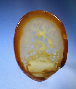 crystals in agate cabochon