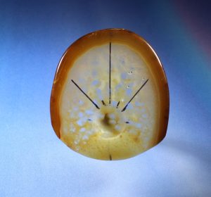 crystals in agate cabochon
