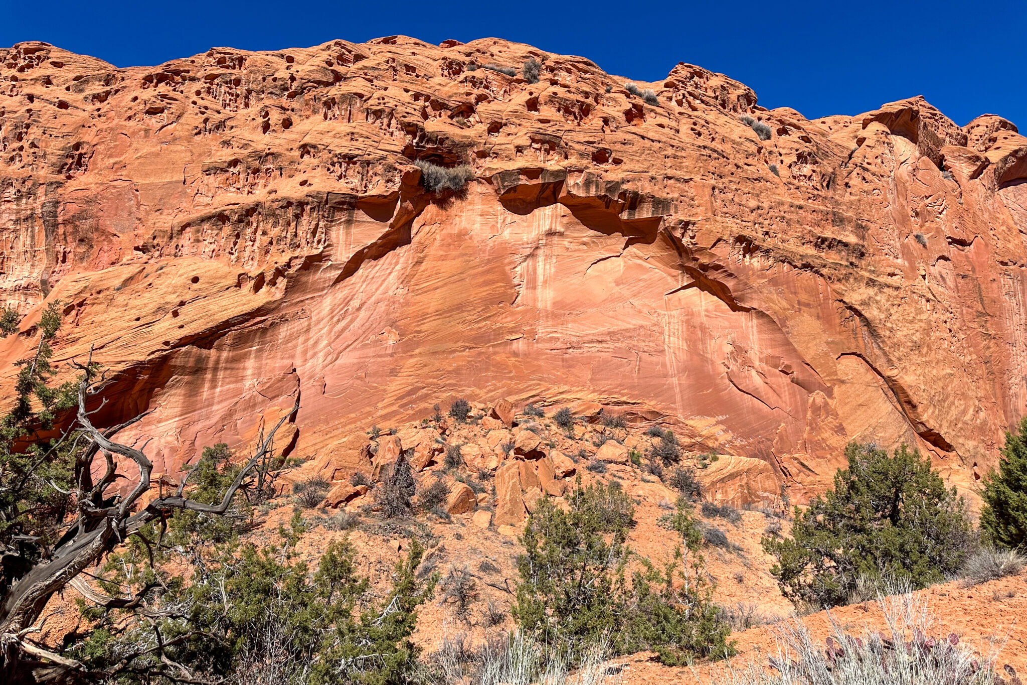 Desert Varnish: The Dark Streaks on Desert Rocks