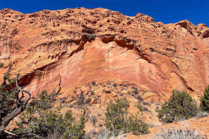 A view of an alcove and desert varnish in Utah. A view of an alcove and desert varnish in Utah.