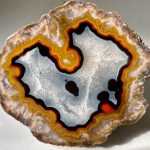 Kentucky Agate: Breaking Into the Big Leagues kentucky agate specimen