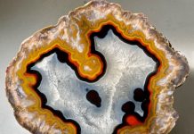 kentucky agate specimen