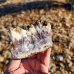 specimen collected while finding amethyst in the black range