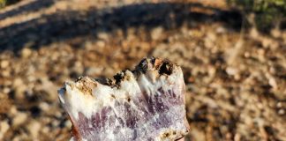 specimen collected while finding amethyst in the black range