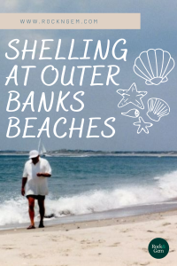shelling at outer banks beaches