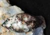 astrophyllite cabochon with mineral background
