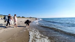 rockhound beachcombing in Kaliningrad, Russia